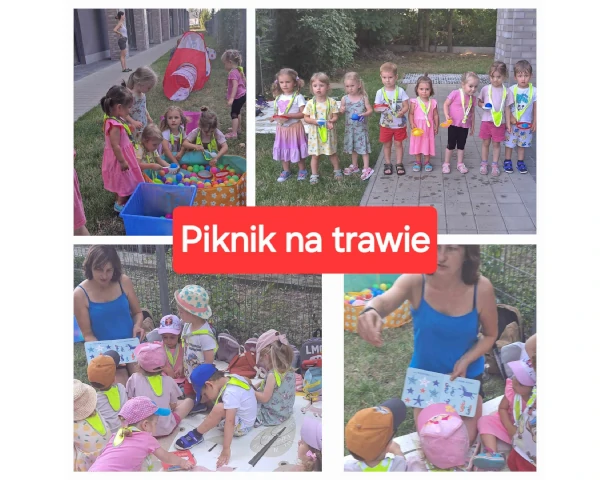 Piknik na trawie